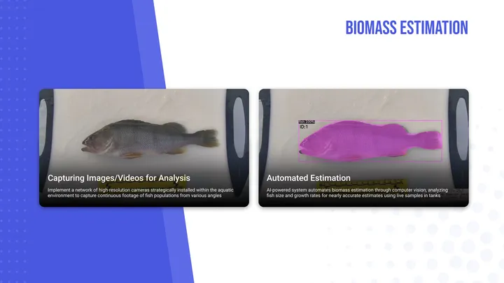 Aquaculture AI, Health & Biomass, view 1