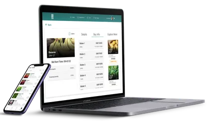 DAN, Auction Platform, screenshot