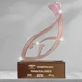 PanaceaLogics, Aquacon Invest Championship 2024 trophy