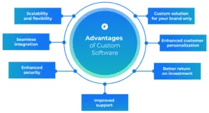 Advantages of Custom Software Development-min
