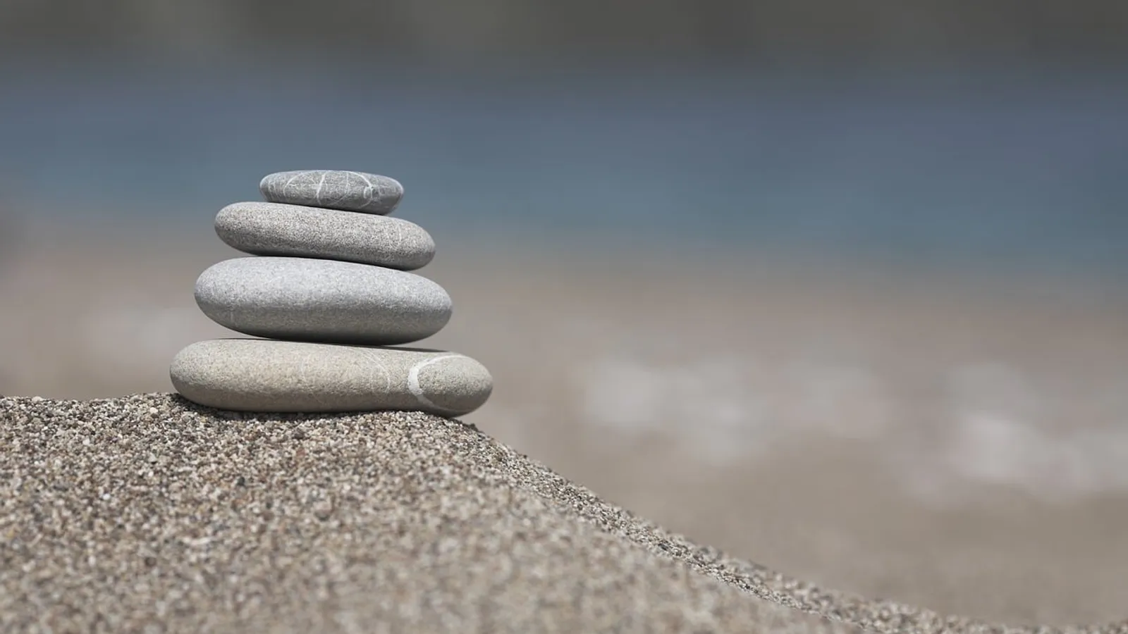 Weighing custom software against an off-the-shelf platform