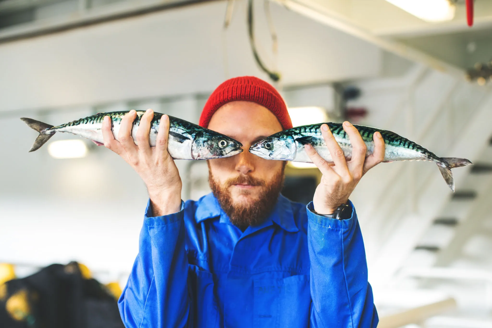 Land Fish Farming with AI